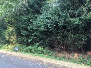 Picture of Point Roberts Parcel Number 415334-342070